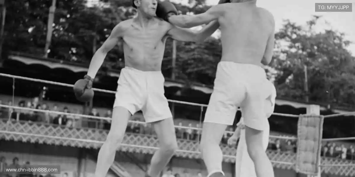 高清多品类盛宴:手机真人视讯麻将,升级娱乐中